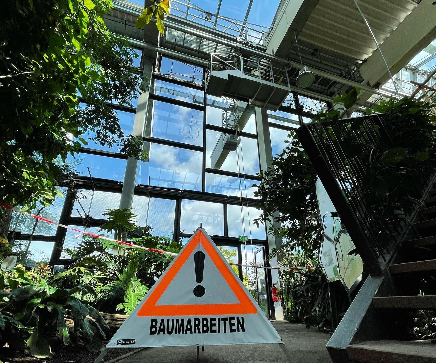 Baumagenten in der Biosphäre Potsdam